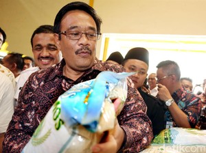 Bakal Dilantik Jadi Gubernur DKI, Djarot Tak Didampingi Wagub