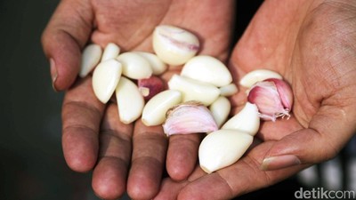 Operasi Menekan Harga Bawang Putih