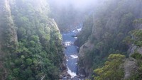 Liburan ke Australia tak pernah lepas dari Sydney. Padahal, Australia punya daerah lain yang lebih menantang. Sebut saja Tasmania, traveler akan dibawa untuk menikmati kebun anggur, tempat pembuatan keju, restoran khas Australia dan alam yang mengagumkan ( Neni Setiyowati/dTraveler)