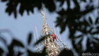 Perbaikan menara gereja itu diperkirakan memakan waktu sekitar 5 bulan.