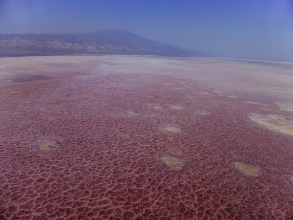 Permukaan danau terlihat berwarna pink jernih bagaikan kaca dan panorama gunung berapi sekelilingnya membuatnya sangat memesona (Thinkstock) Permukaan danau terlihat berwarna pink jernih bagaikan kaca dan panorama gunung berapi sekelilingnya membuatnya sangat memesona (Thinkstock)