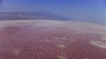 Potret Danau Natron di Tanzania, Cantik Tapi Mematikan