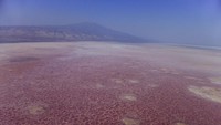 Namun di balik kecantikan danau pink ini tersimpan cerita yang mengerenyitkan dahi. Tahukah Anda, warga Tanzania dan traveler yang pernah datang ke sana menjuluki Danau Natron sebagai neraka! (Dok. Thinkstock)