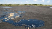 Setidaknya, ada 10 juta ton aspal alami di danau tersebut (Thinkstock)