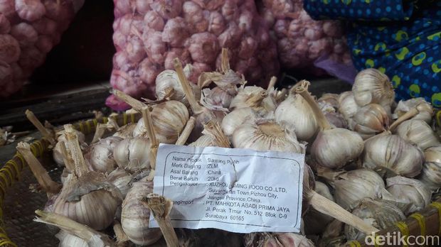 Bawang putih di Bogor