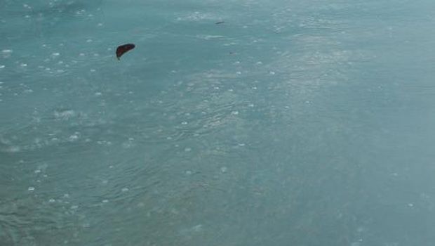 Gelembung udara dari dalam air (dok. Ericks Rachmat Swedia)