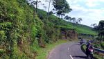 Stres di Hari Senin, Lihat yang Hijau-Hijau Dulu Sini..