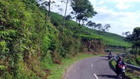 Karena jalannya yang berkelak-kelok dan banyak motor, traveler harus tetap waspada dan hati-hati. Jangan sampai terlena dengan keindahan pemandangan yang tersaji di kanan dan kiri jalan (Wahyu/detikTravel)