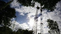 Soal komunikasi, rata-rata warga asli Merauke lancar berbahasa Indonesia. Soal telekomunikasi, sinyal selular yang mendominasi Kabupaten Merauke adalah Telkomsel, meski tak semua titik telah ternaungi sinyal selular.
