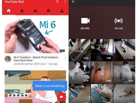 Fitur Live di YouTube Kini Bisa untuk Semua Orang