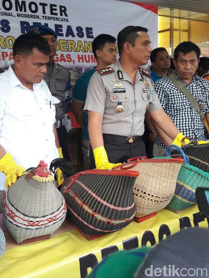 Polisi Tangkap Pelaku Judi Sabung Ayam di Tangerang