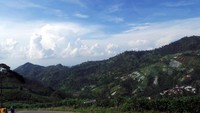 Kebun Teh Kemuning seakan jadi oase penyejuk di tengah Jawa Tengah. Traveler bisa mengunjunginya jelang libur long weekend minggu ini (Wahyu/detikTravel)
