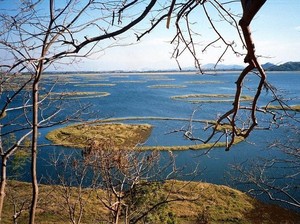 Danau Ajaib di India, Pulaunya Bisa Gerak Sendiri