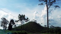Di Kebun Teh Kemuning, traveler bisa coba flying fox atau bahkan paralayang. Harganya mulai Rp 20 ribuan sampai Rp 350 ribu untuk paralayang (Wahyu/detikTravel)