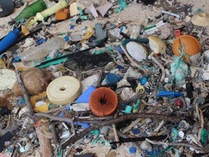 Pulau Warisan Dunia di Pasifik Selatan Penuh Sampah