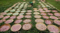 Usaha pembuatan kerupuk di Desa Kenanga kian marak di awal tahun 1990-an. Dari 30 pabrik kerupuk yang ada di desa tersebut, produksinya pun sudah makin beragam mulai dari kerupuk ikan, jengkol, hingga bawang putih.