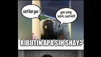 Waria Dinda Syarief yang videonya viral bareng Kiki Farel bikin netizen cewek iri. Foto: Meme detikHOT/ilustrasi Rio & Syarah
