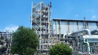 Kapasitas produksi Pupuk Kujang untuk urea mencapai 1.140.000 ton per tahun, pupuk NPK 200.000 ton per tahun, pupuk organik 20.000 ton per tahun. Angka tersebut melebihi kebutuhan pupuk untuk petani di kawasan Jawa Barat dan Banten.