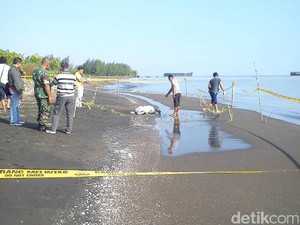 Mayat Terbungkus Karung Ditemukan di Pantai Kabupaten Tegal