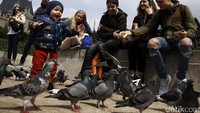 Mereka bermain dan memberi makan burung dara yang memenuhi halaman katedral.
