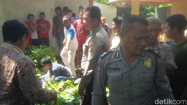 tempat nongkrong di tembung Potong Pohon Sukun Sudar Tewas Tersengat Listrik