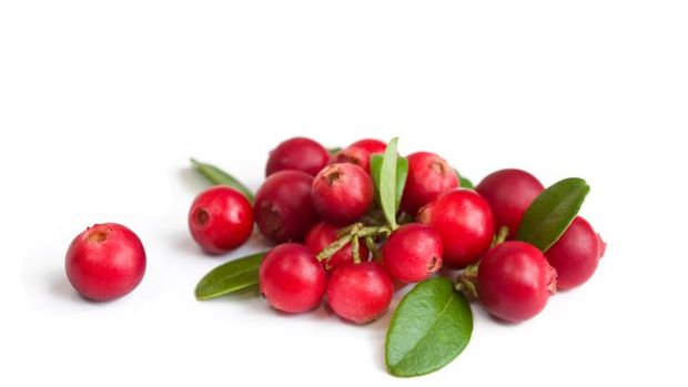 Cranberries on white
