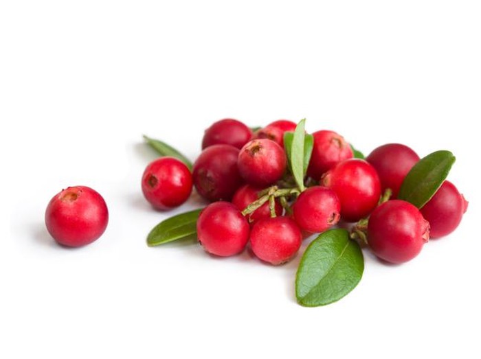 cranberry Cranberries on white