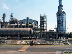 Pupuk Kaltim Mau Bangun Pabrik Methanol Senilai Rp 37 T