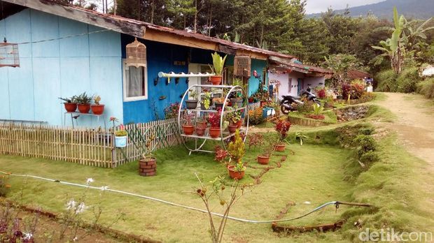 Beberapa rumah lama sudah dicat dan dipercantik (Hakim Ghani/detikTravel)