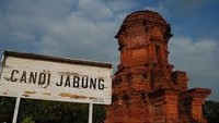 Di sekitar Candi Jabung banyak sekali dijumpai pohon Maja dengan buahnya yang berwarna hijau, berukuran sebesar melon, dan rasanya yang pahit. Jadi teringat asal-usul dan arti nama Majapahit, yaitu buah Maja yang pahit (M Rofiq/detikTravel)