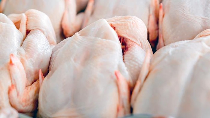 Foto: iStock Foto: iStock