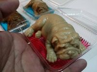Lucunya! Puding Ini Punya Bentuk Persis Anak Anjing Pug!