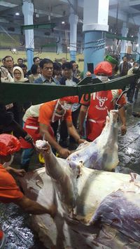 Kementan: Stok Daging untuk Puasa dan Lebaran Aman