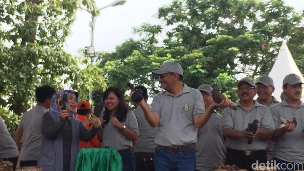 Happy Djarot sebelum memegang merpati / 