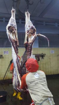 Kementan: Stok Daging untuk Puasa dan Lebaran Aman