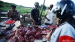 Pasar Gelap Merauke Ramai Jual Beli Kanguru Papua