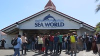 Gold Coast adalah surganya taman rekreasi di Australia. Ada Sea World dimana turis bisa bermain dengan lumba-lumba dan naik helikopter di satu tempat (Fitraya/detikTravel)