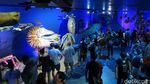 Sea World Australia, Dari Hiu Sampai Naik Helikopter