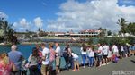 Sea World Australia, Dari Hiu Sampai Naik Helikopter