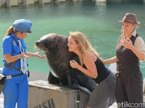 Inikah Taman Rekreasi Terbaik di Australia?