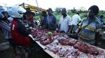 Pasar Gelap Merauke Ramai Jual Beli Kanguru Papua