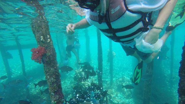 Langsung nyebur! (Masaul/detikTravel)