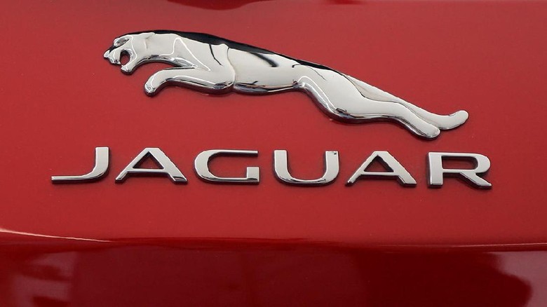 Kapan Waktu Ideal Servis Rutin Jaguar, Land Rover dan Bentley? Foto: Ari Saputra Kapan Waktu Ideal Servis Rutin Jaguar, Land Rover dan Bentley? Foto: Ari Saputra