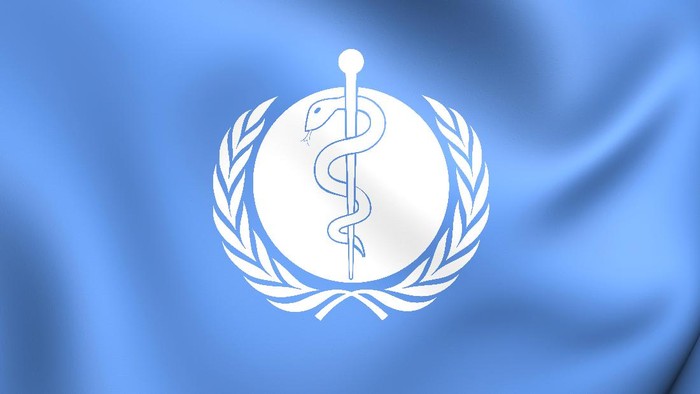 3D Flag of the World Health Organization. Close Up.