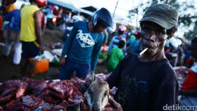 Pasar Gelap Merauke Ramai Jual Beli Kanguru Papua