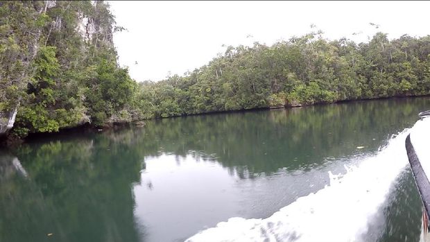 Jalur ini dipakai warga lokal untuk mencari kayu di hutan