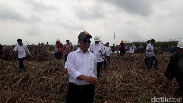 Mentan groundbreaking pabrik gula di tengah rawa