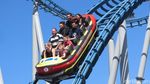 Sea World Australia, Dari Hiu Sampai Naik Helikopter