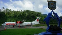 Jadi, kalau traveler ke sana jangan hanya menikmati alamnya saja. Coba nikmati pemandangan lewat jendela pesawatnya juga (Masaul/detikTravel)