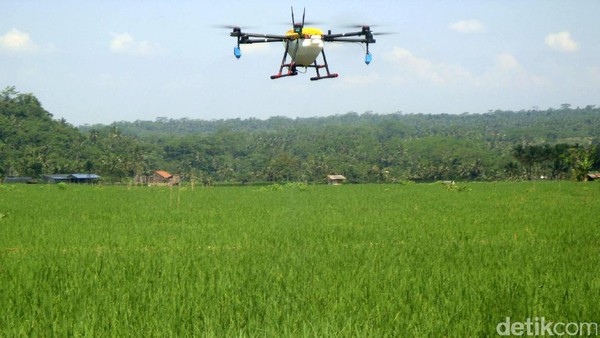 Petani Purbalingga Manfaatkan Drone untuk Proses Pemupukan